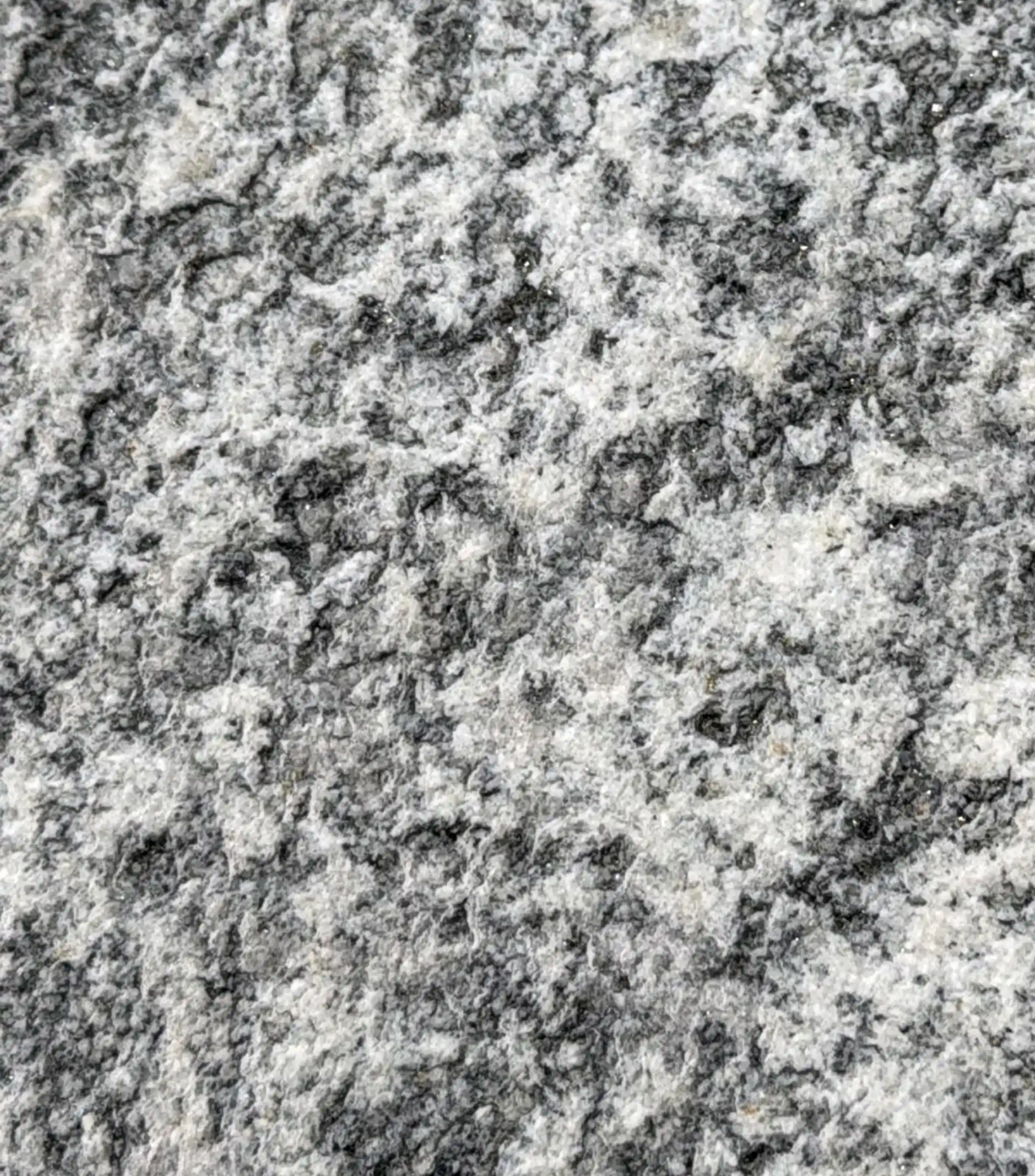 Campione di Pietra Serizzo - granito grigio chiaro uniforme con micro puntini scuri, pietra naturale italiana utilizzata nell'installazione Forme di Dialogo, Trapattoni Marmi Bergamo